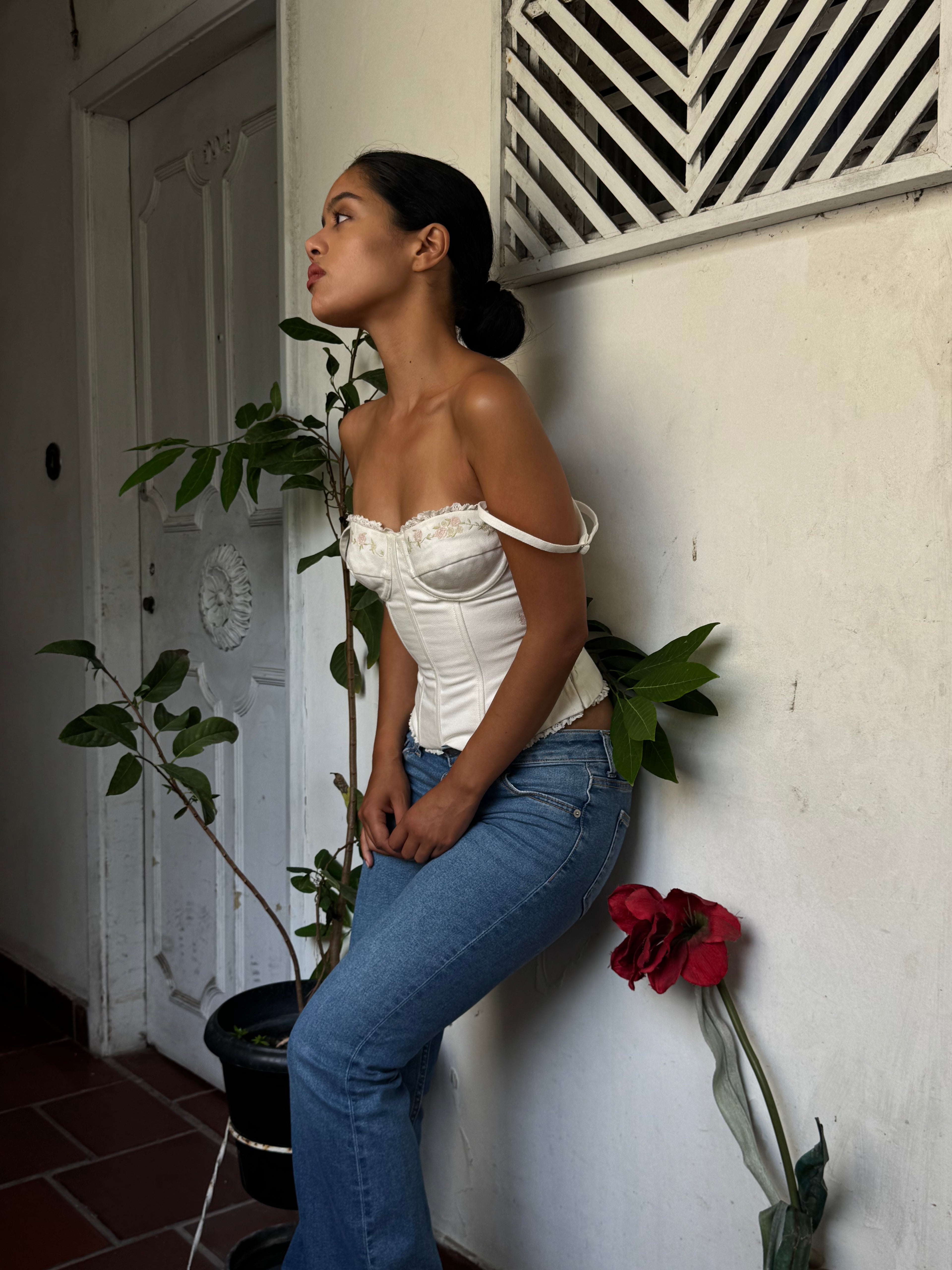 Pocket Full of Posies Bustier