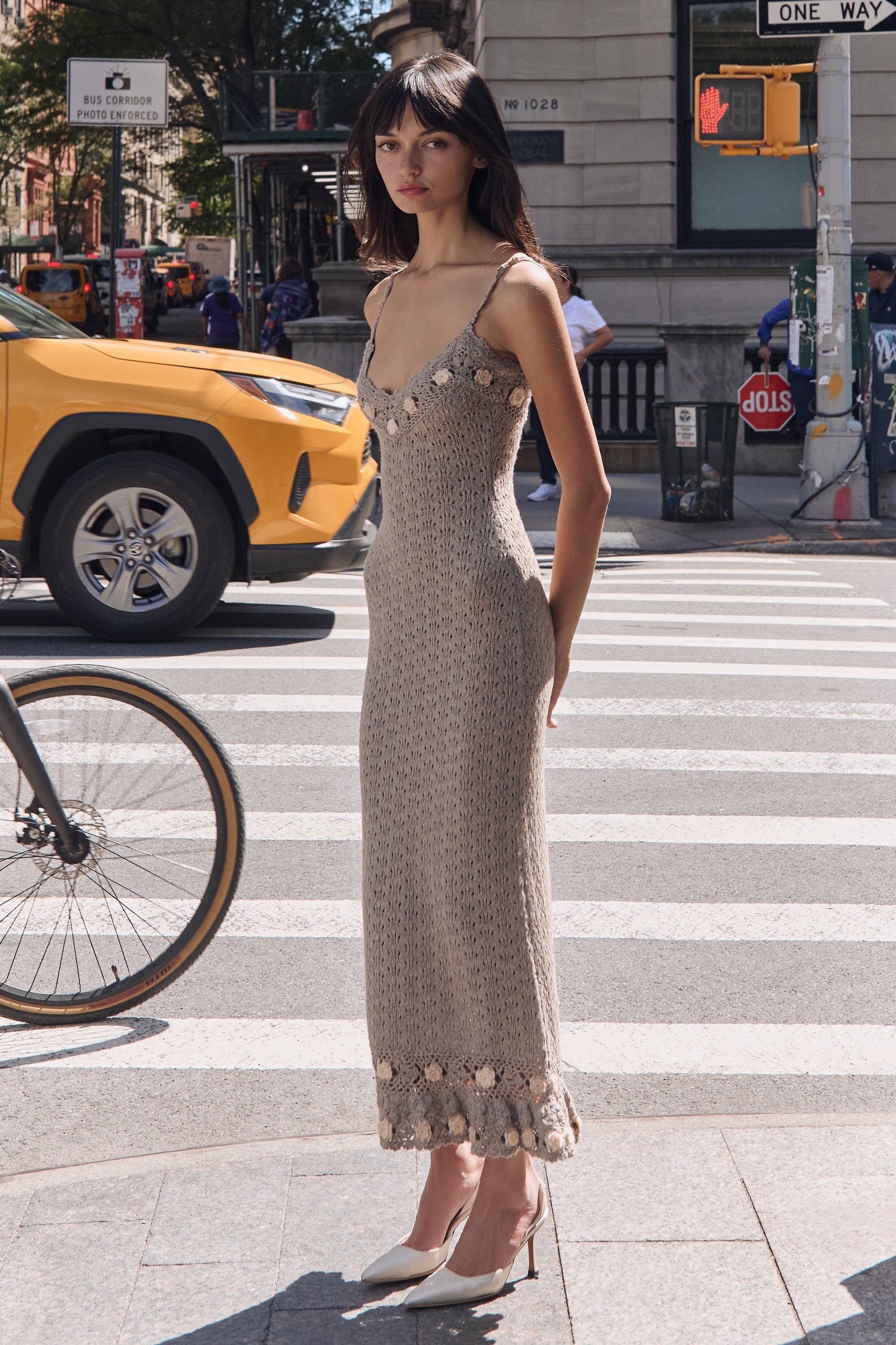 Rosarium Knit Lady Dress